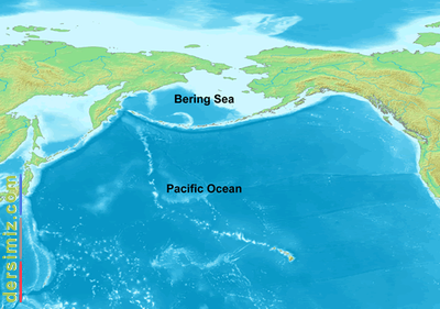 Bering Denizi