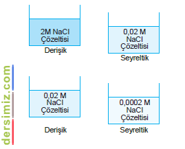 Derişim Nedir?