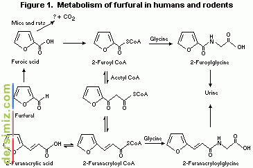 Furfural Nedir?