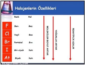 Halojenler