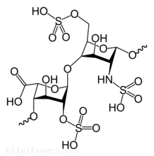 Heparin Nedir?