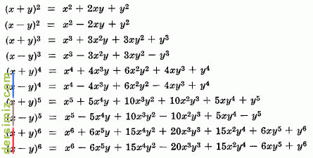 Polinom Nedir?