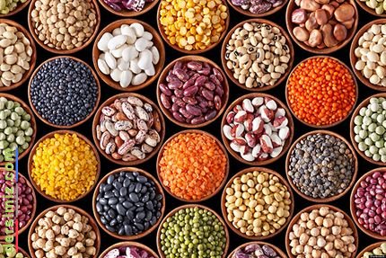 Baklagiller Nedir?