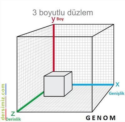 Boyut Nedir?