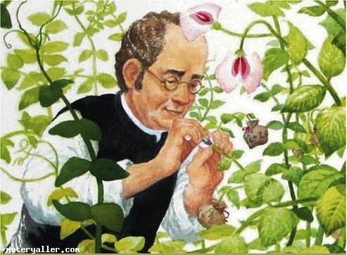 Johann Gregor Mendel Kimdir?