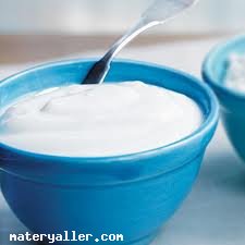Yoğurt Nedir?