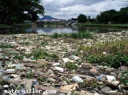 Çevre Kirliliği Nedir?