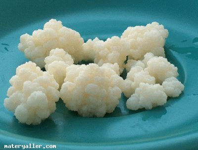 Kefir Nedir? Faydaları Nelerdir?