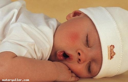 Uyku Nedir?