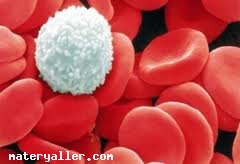 Aglütinasyon Nedir?